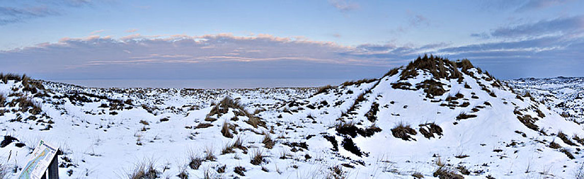 冬季风景,叙尔特岛,北方,石勒苏益格,黑白花牛,德国