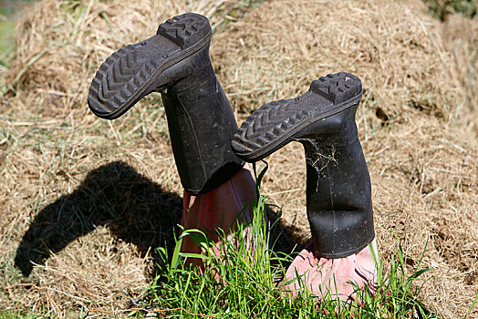 威灵顿高帮靴,困住,草丛,梅克伦堡前波莫瑞州,德国,欧洲
