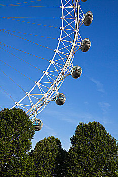 千禧之轮,树,伦敦,英格兰