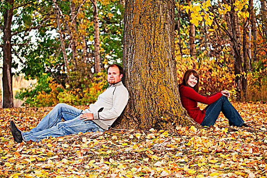 年轻,夫妇,大树,公园,艾伯塔省,加拿大