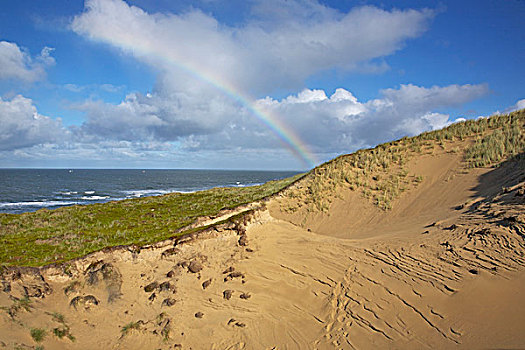 彩虹,上方,沙丘,岛屿
