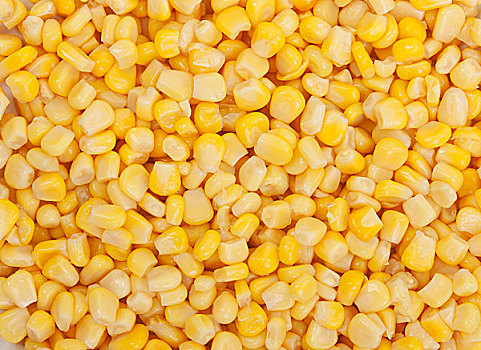 背景,玉米