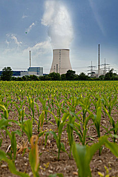 核电站,伊萨河,后面,巴伐利亚,德国