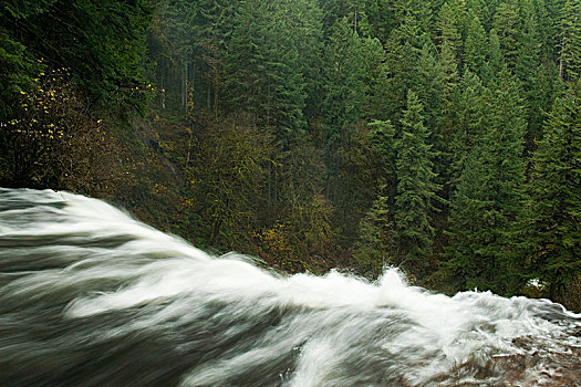瀑布,银色瀑布州立公园,俄勒冈,美国