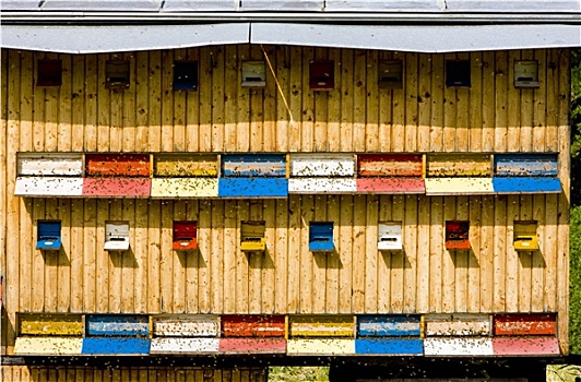 蜂巢,斯洛伐克