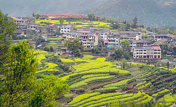 山村春色