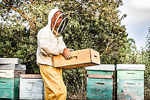 男性,养蜂人,工作,蜂窝