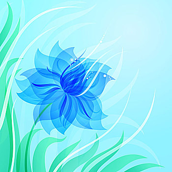 蔚蓝,花,背景