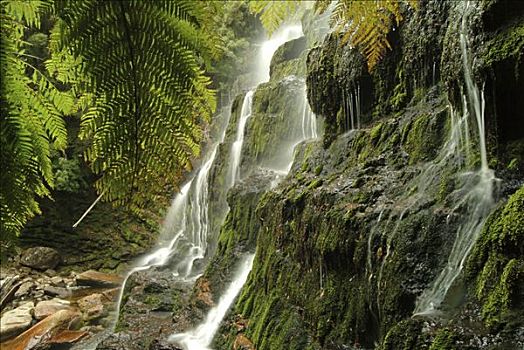 瀑布,地点,国家公园,塔斯马尼亚,澳大利亚