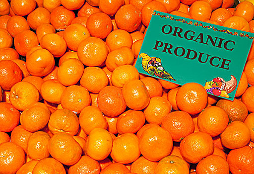 堆,克莱门氏小柑橘,标识,标示,有机,农产品,滑铁卢,魁北克,加拿大