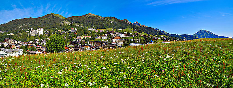 莱森,阿尔卑斯山,瑞士