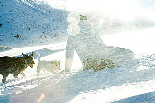 少女,蹲,雪中,两只,狗,后视图