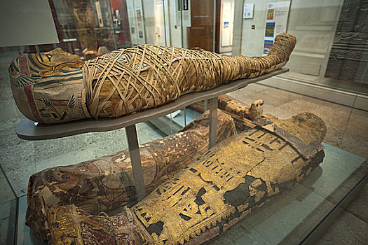 埃及,木乃伊,大英博物馆,伦敦,英格兰