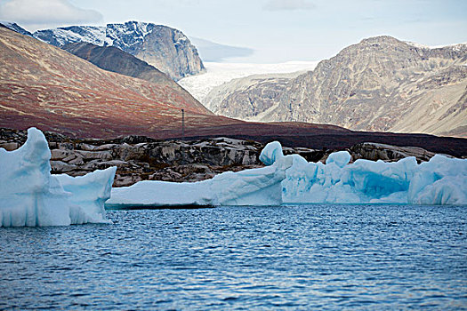 格陵兰,半岛,迪斯科湾,风景,图像,冰山,漂浮,冰河,远景