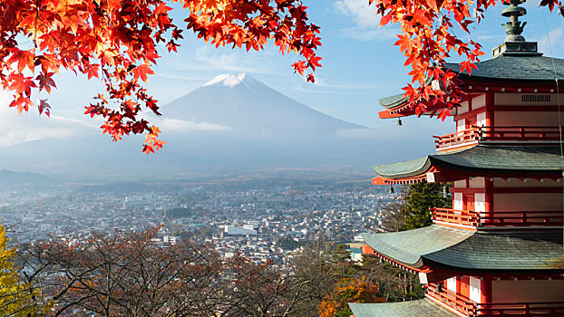 山,富士山,秋天,红枫,叶子,日本