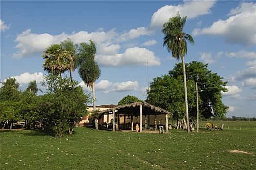 农场,潘塔纳尔,世界遗产,生物保护区,巴西