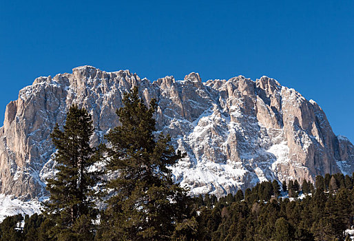 滑雪,区域,白云岩,阿尔卑斯山