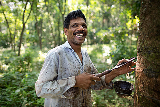 微笑,工作,自然,橡胶,种植园,站立,靠近,橡胶树,喀拉拉,印度,亚洲