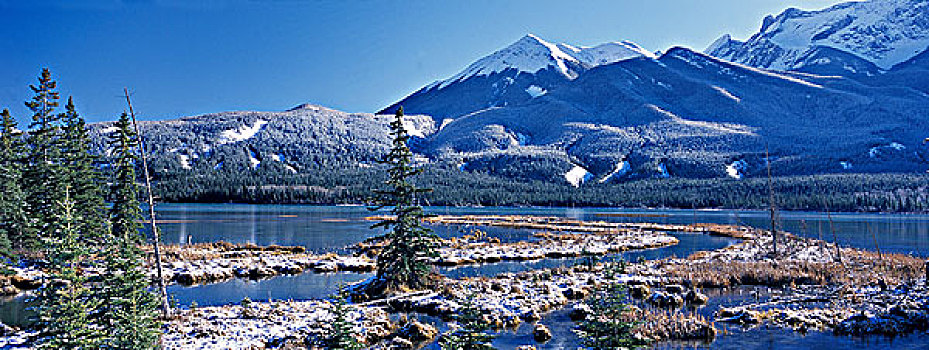 早,冬天,雪,山脉,背景,碧玉国家公园,艾伯塔省,加拿大