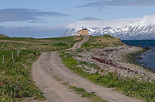 小路,房子,冰岛