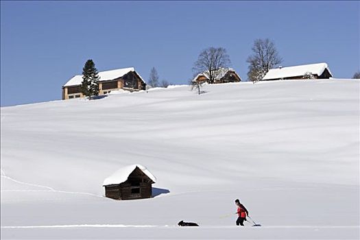 农场,山,越野滑雪,小路,施蒂里亚,奥地利