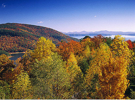 秋日树林,蓝脊公园大道,弗吉尼亚,美国