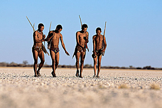 丛林原住民,猎人,走,纳米比亚,非洲