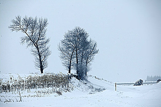 吉林雾凇岛雪景