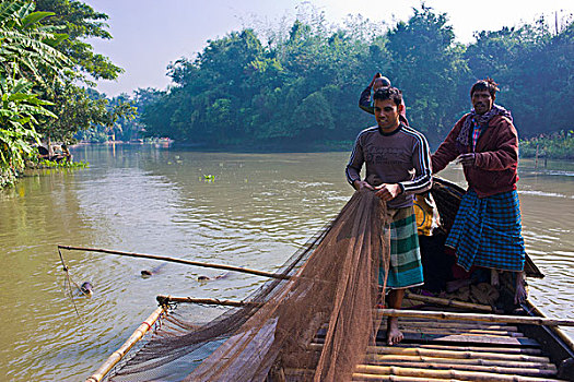 独特,捕鱼,鱼肉,水獭,孟加拉,亚洲