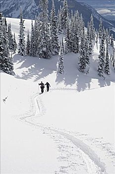 人,边远地区,滑雪,不列颠哥伦比亚省,加拿大