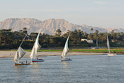 三桅小帆船,尼罗河,路克索神庙,尼罗河流域,埃及,非洲