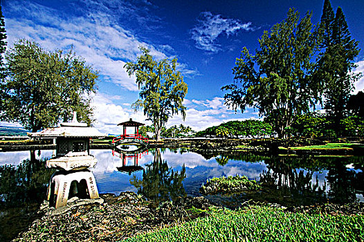 美国,夏威夷大岛,花园,公园