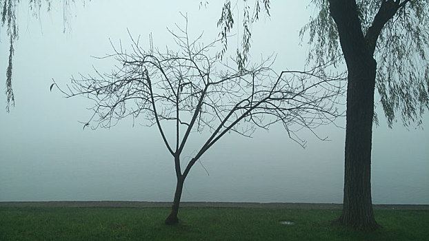 雾中西湖