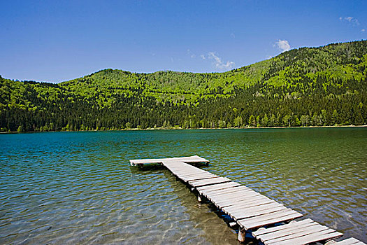 湖,挨着,火山湖,山,喀尔巴阡山脉地区,娱乐,区域,水疗,特兰西瓦尼亚,罗马尼亚,六月