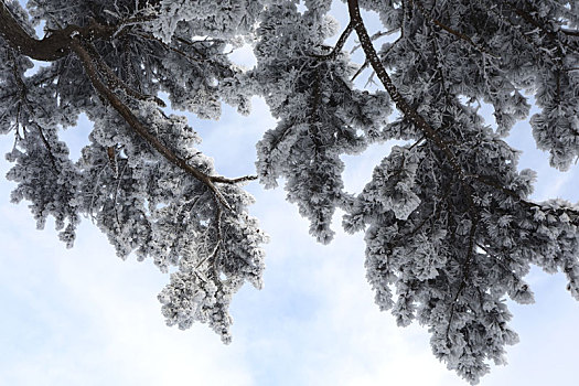 雪后华山宛如画