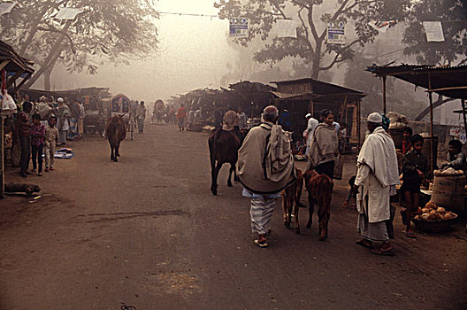 早,市场一景,达卡,孟加拉