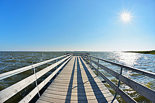 木码头,太阳,上方,水,新生,达斯,费施兰德-达斯-茨因斯特,梅克伦堡州,德国