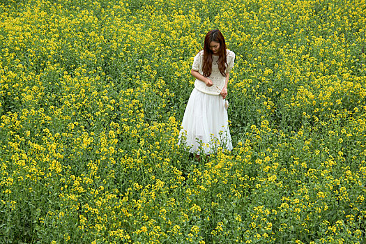 油菜花,女孩