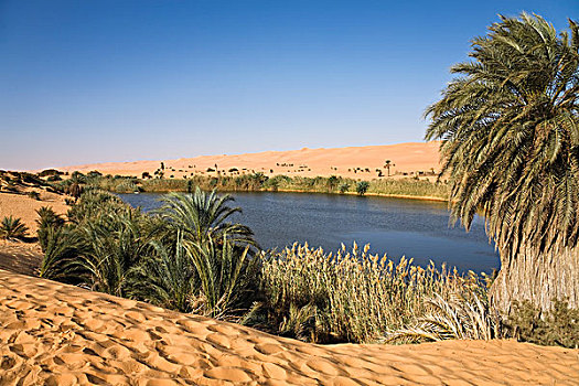 沙丘,奥巴里,利比亚