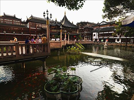 茶园,之字形,桥,穿过,水塘,花园,上海,中国,亚洲