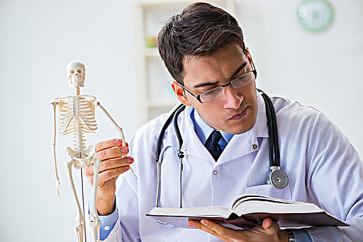 博士,学生,学习,骨头,骨骼