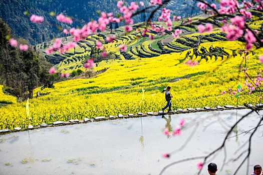 重庆酉阳,三月花海千氹田