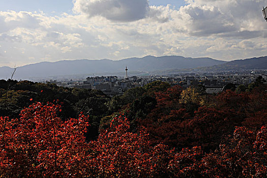 日本京都红叶