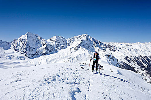 滑雪,向上,冬天,奶奶,山峦,背影,南蒂罗尔,意大利,欧洲