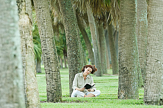 坐,女人,棕榈树,小树林,读,书本
