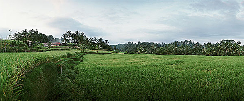 印度尼西亚,地点,全景