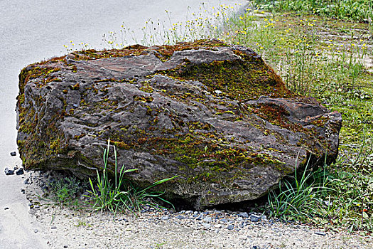 石头,漂石,海德,石南灌丛,北莱茵-威斯特伐利亚,德国,欧洲