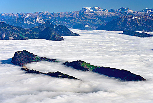 海洋,雾,上方,琉森湖,皮拉图斯,山脉,靠近,瑞士,欧洲