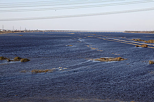 天津独流碱河,湿地