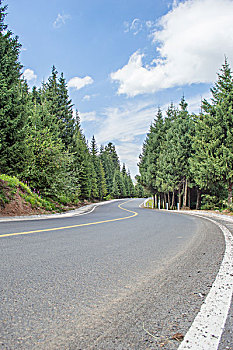 森林道路